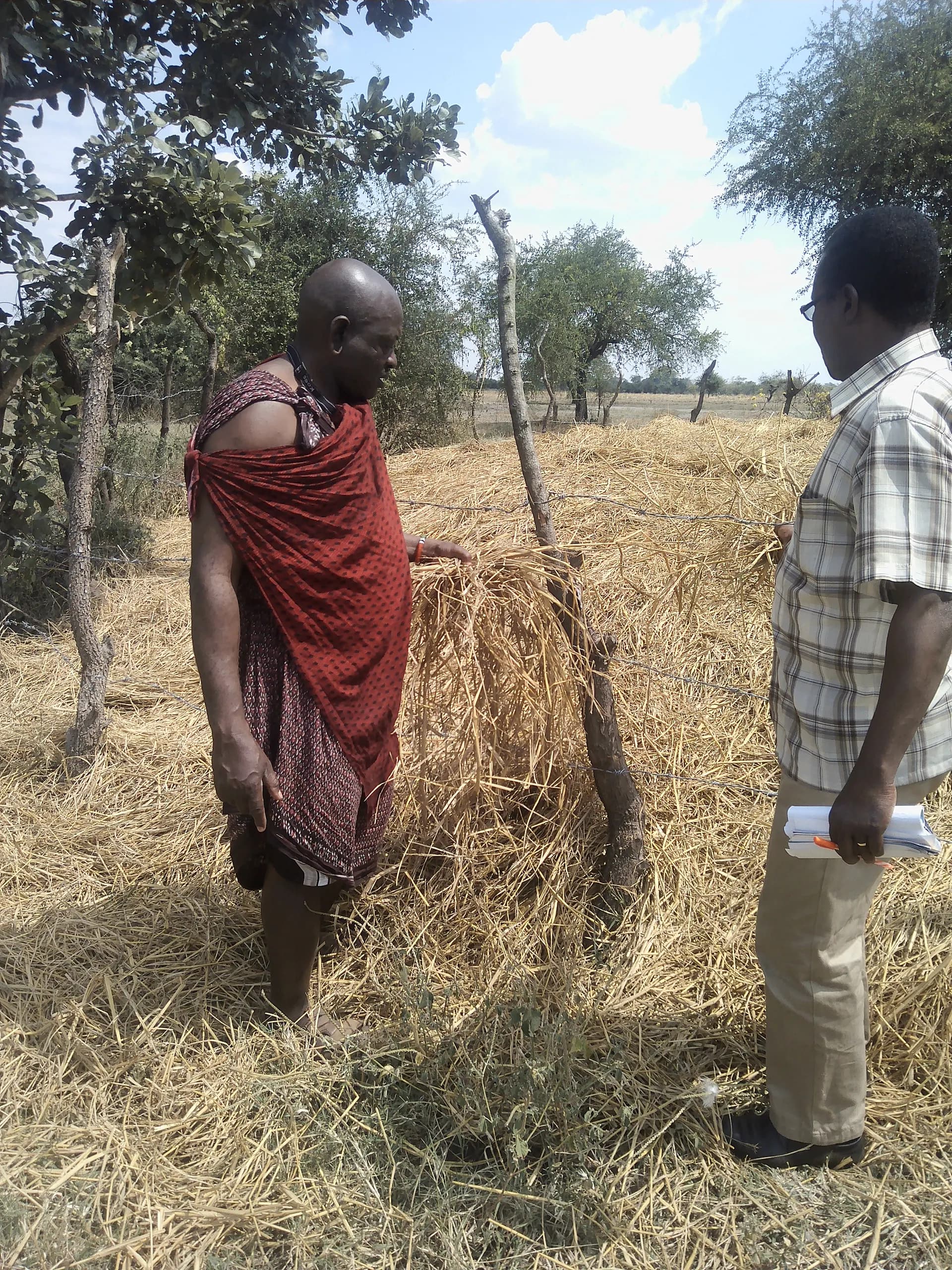 Modern livestock keeping: a path to peace and prosperity